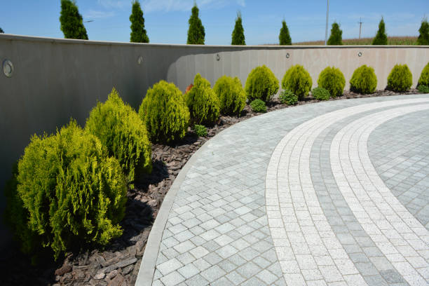 Best Brick Paver Driveways in Burkburnett, TX